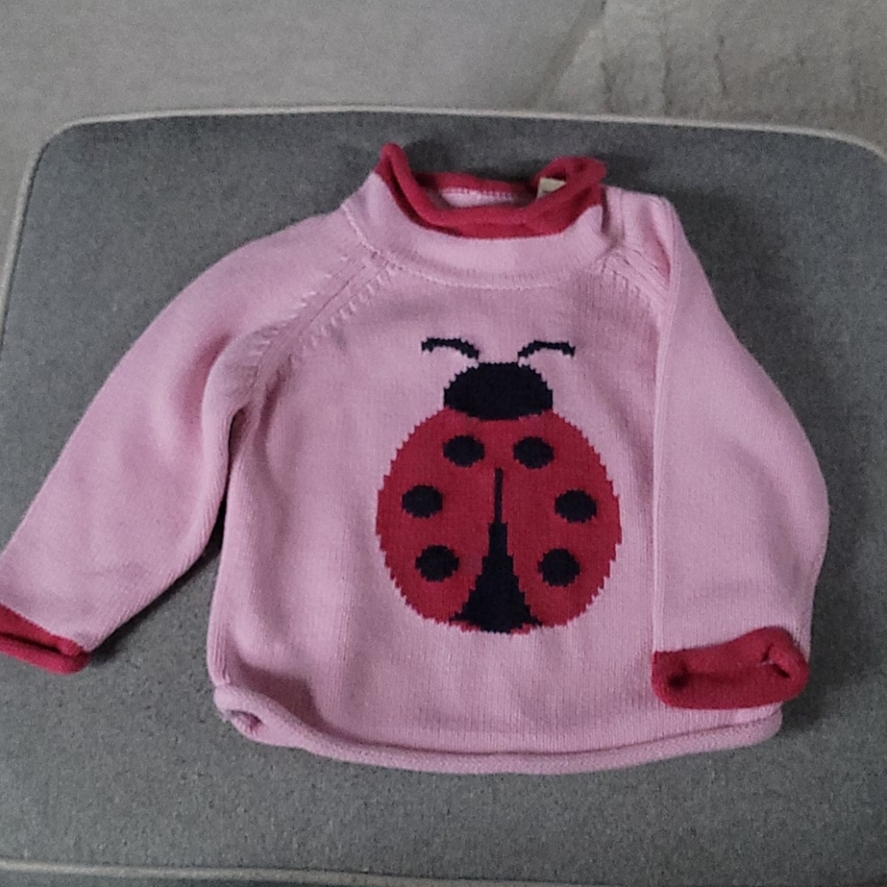 Pink Ladybug L.L. Bean sweater